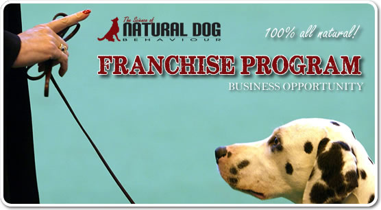 dog business franchise